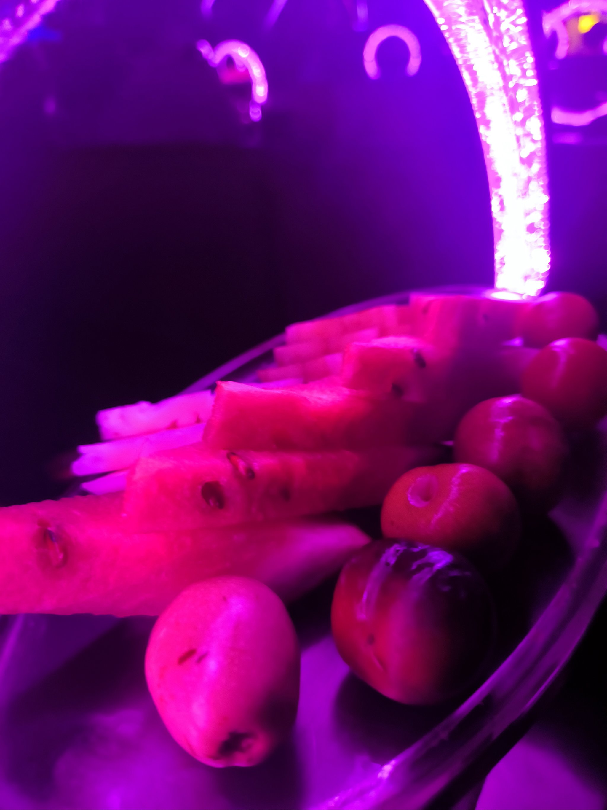 营口商务KTV精彩享受-西市区ktv预定